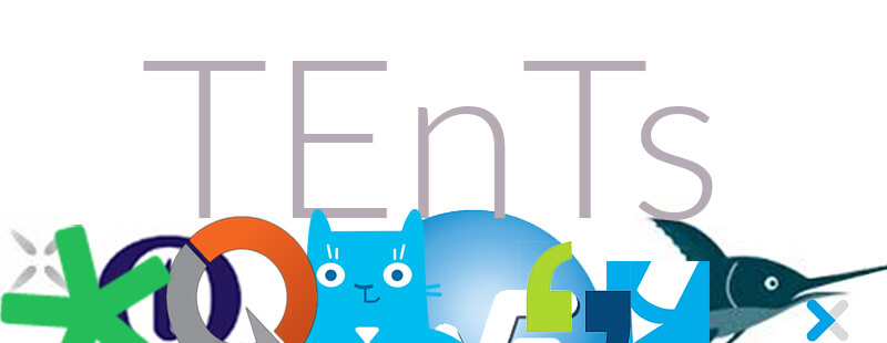 Project-Ready Translation Environment Setup – Client Configuration Access